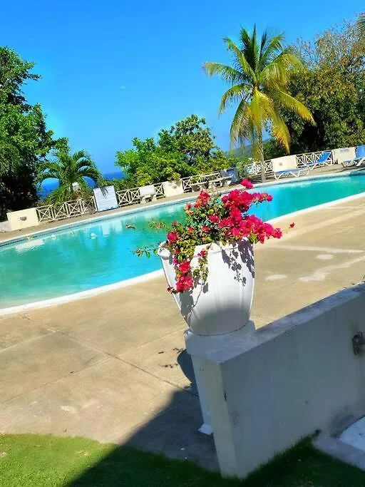 Apartmán Casa De Columbus Ocho Rios