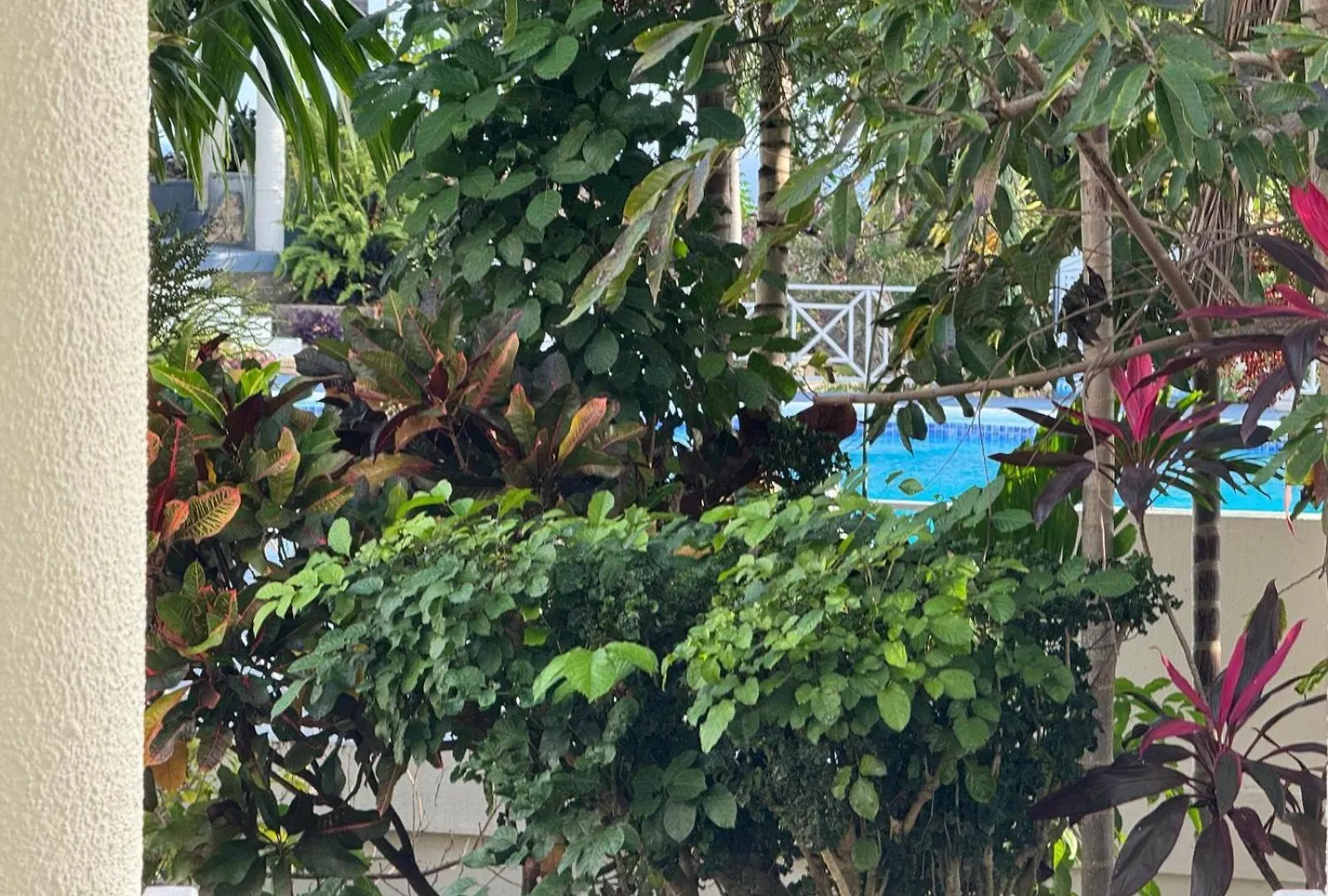 Apartmán Casa De Columbus Ocho Rios Jamajka